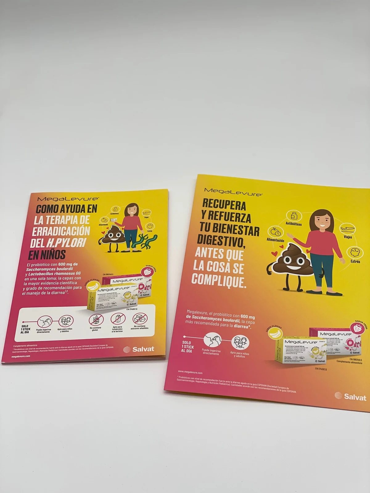 Folletos de campaña